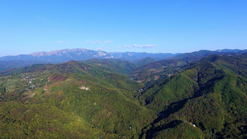 Pensiunea Eden Băile Olăneşti エクステリア 写真